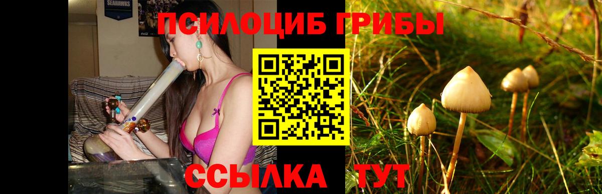 Ревда  Галлюциногенные грибы Cubensis  Вход с VPN  Псилоцибиновые грибы прущие грибы 